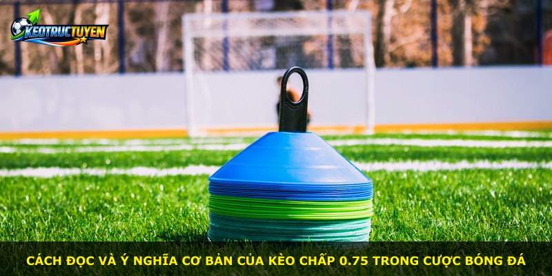 Cách đọc và ý nghĩa cơ bản của kèo chấp 0.75 trong cược bóng đá