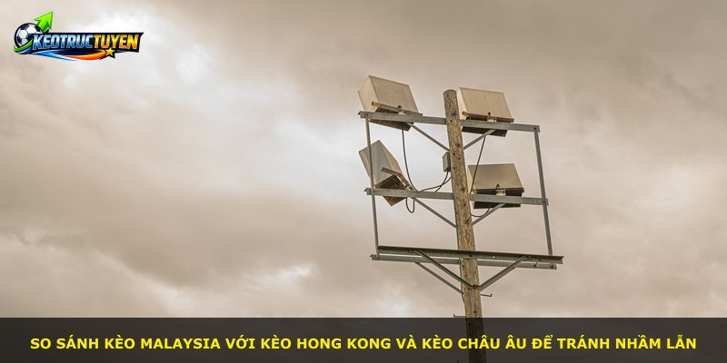 So sánh kèo Malaysia với kèo Hong Kong và kèo châu Âu để tránh nhầm lẫn